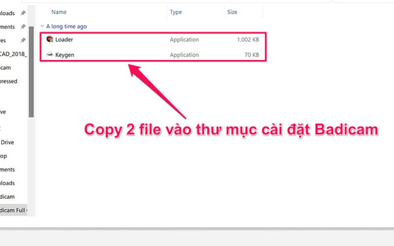 sao chép file vào thư mục cài đặt