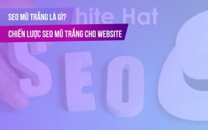 SEO Mũ Trắng